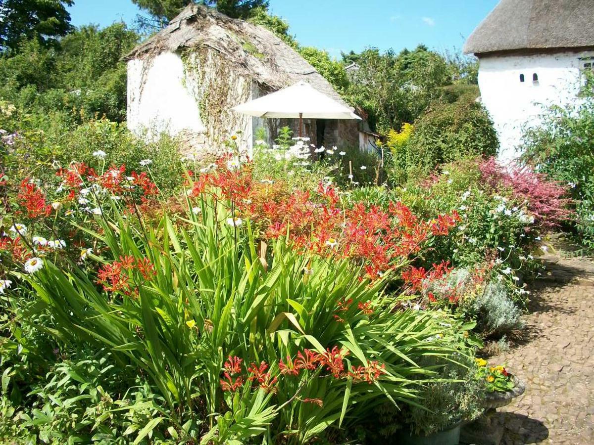 Middletown Farmhouse B&B Okehampton Exterior photo