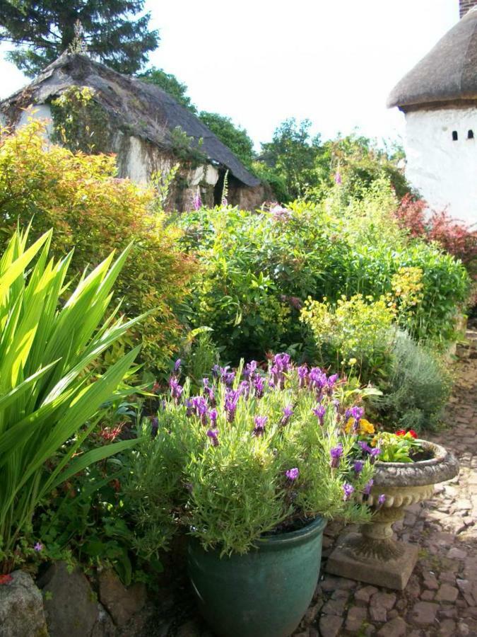 Middletown Farmhouse B&B Okehampton Exterior photo